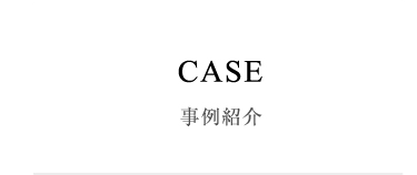 Case